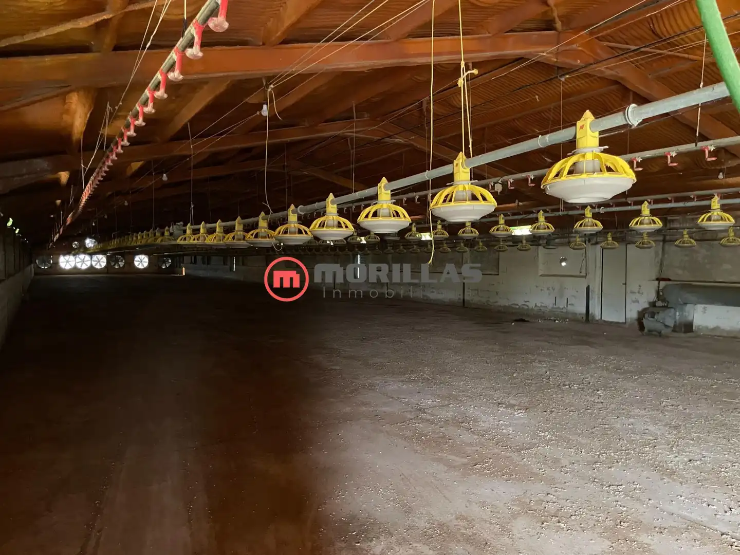 Chalet con jardín en venta en Bullas, imagen 32