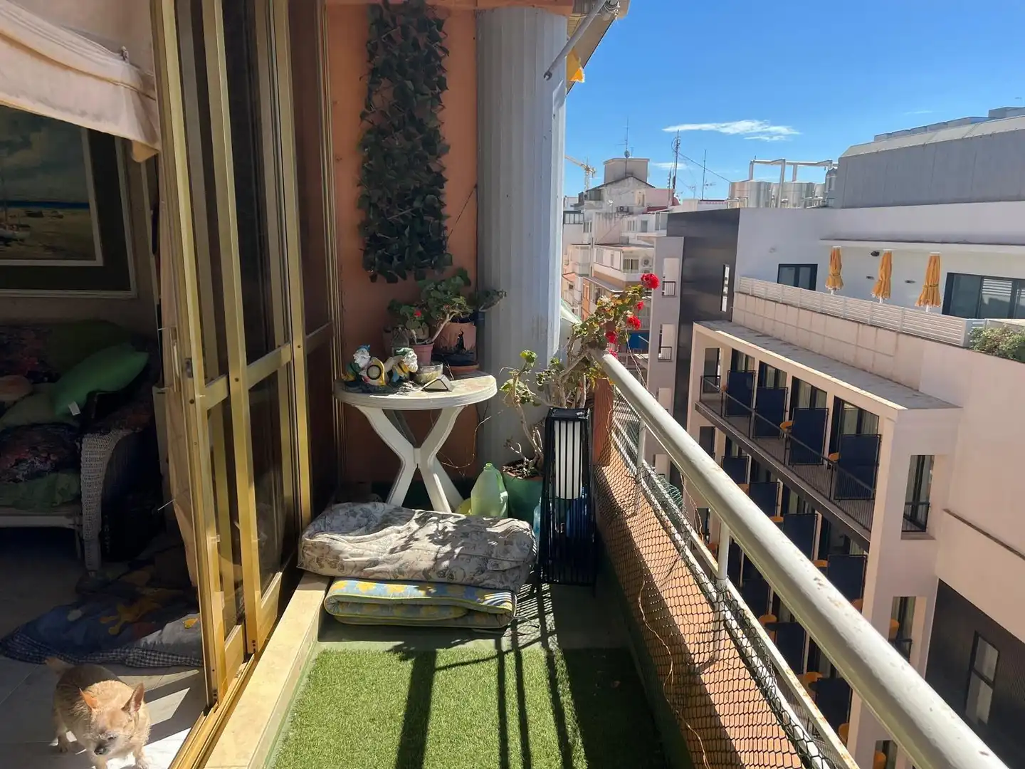 Penthouse mit Terrasse zum Verkauf in Centro Urbano, imagen 12