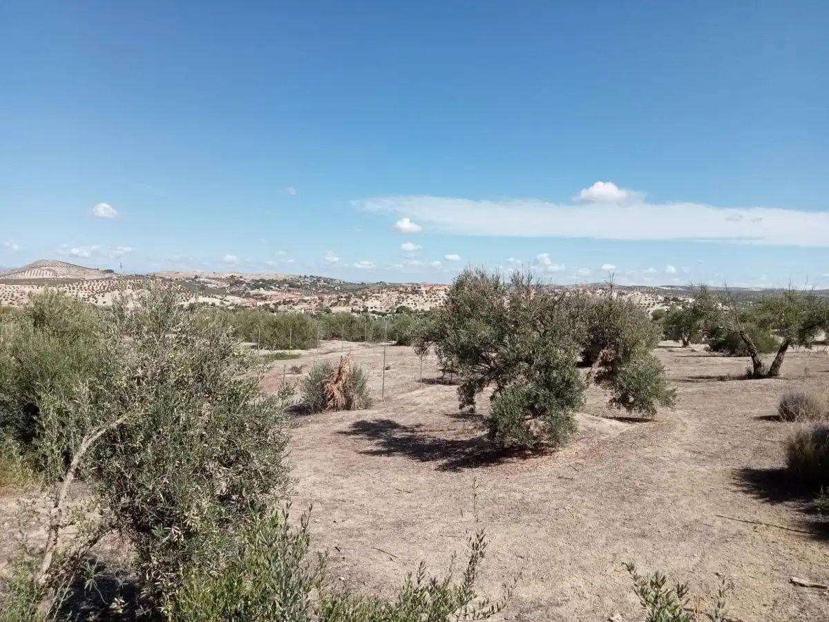 Terreni e lotti in vendita a La Guardia de Jaén, imagen 3