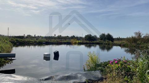 Foto 5 de Terreny en venda a Pedanías Norte, Utrera