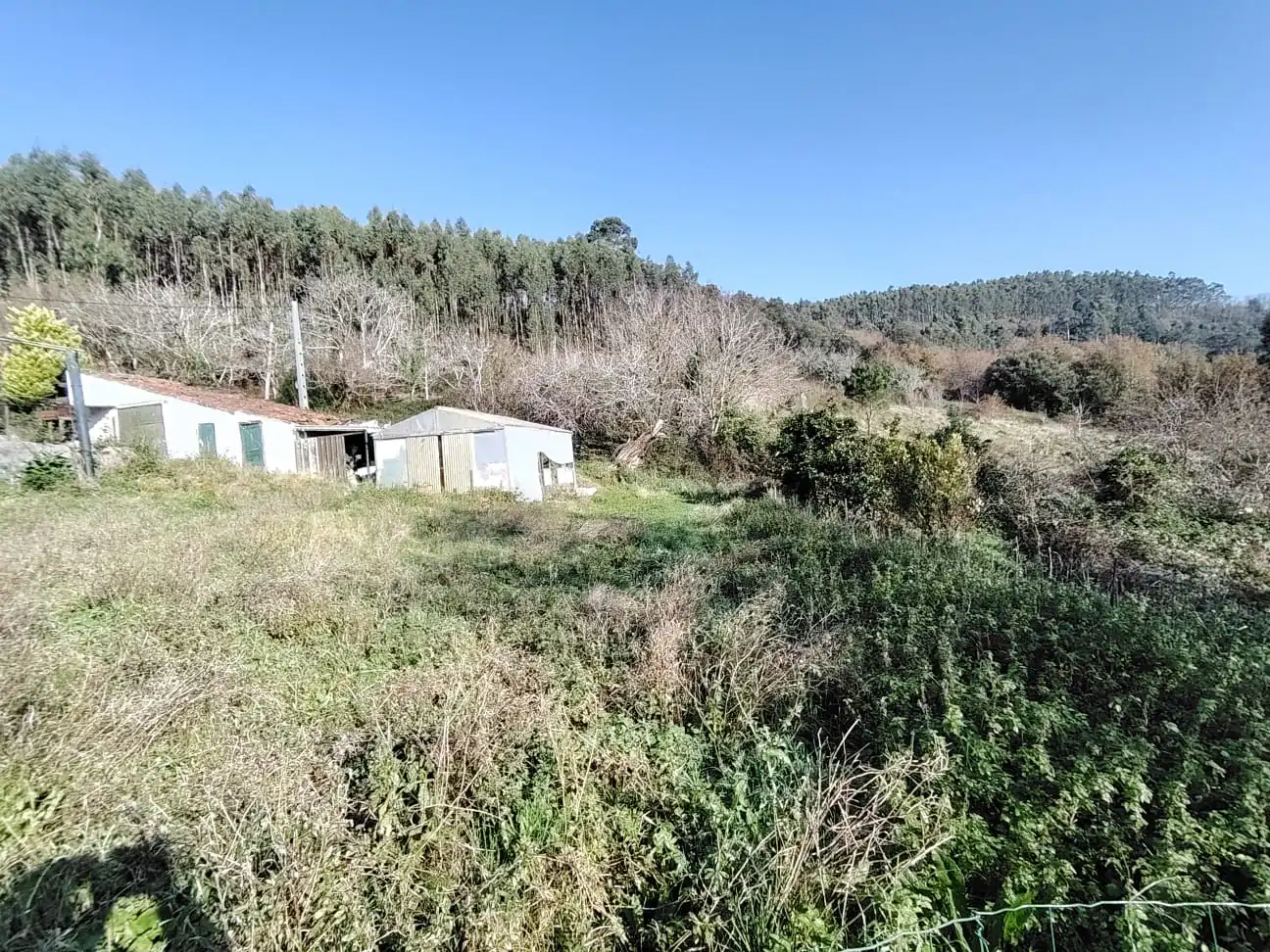 Casa o chalet en venta en Gorliz con Jardín privado y Trastero