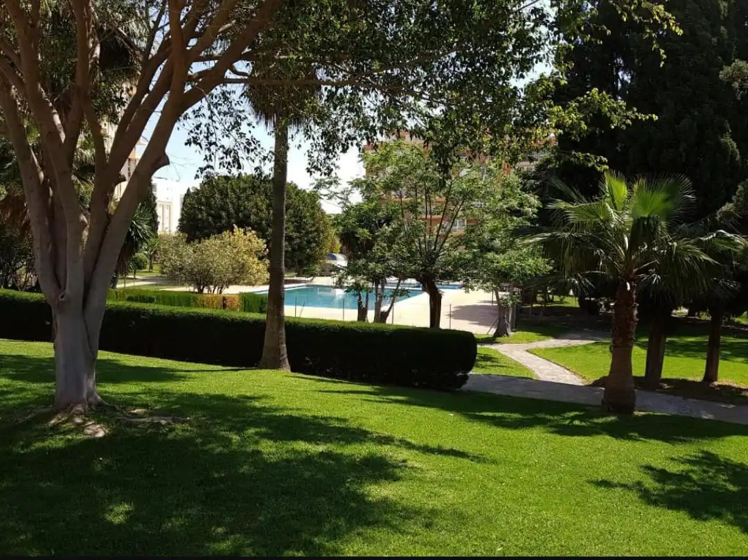 Jardín de Estudio de alquiler en Benalmádena con Aire acondicionado, Terraza y Amueblado