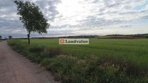 Foto 4 de Terreno en venta en De el Roble, Pozuelo del Rey, Madrid