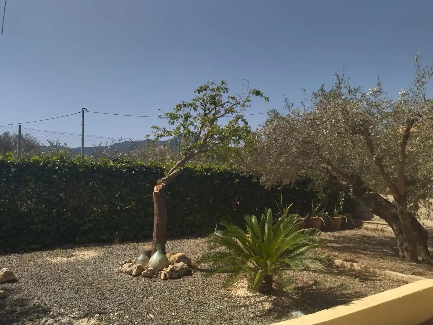 Jardín de Finca rústica en venta en Moratalla con Aire acondicionado, Calefacción y Jardín privado