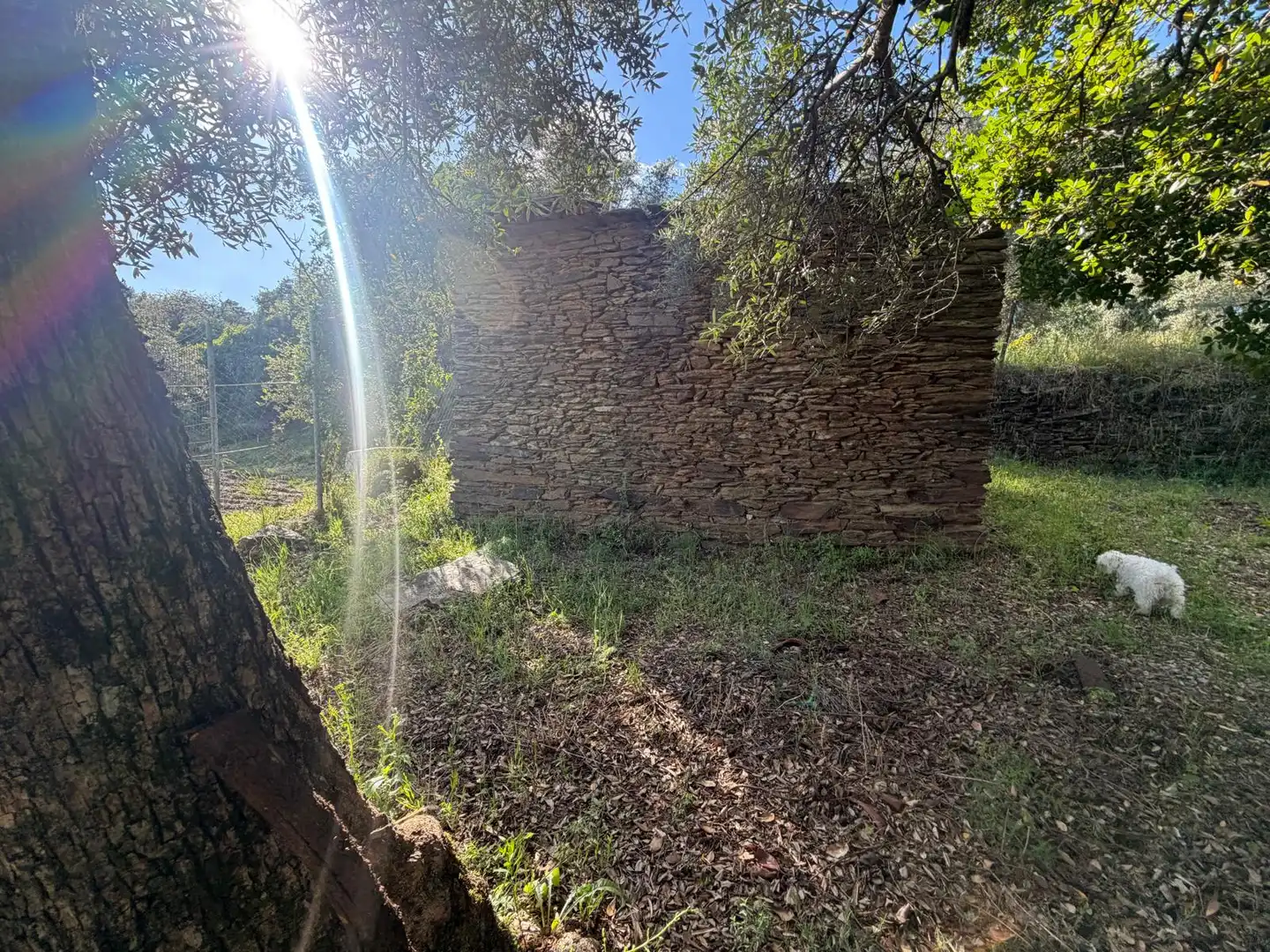 Terreni e lotti in vendita a N/A, imagen 5