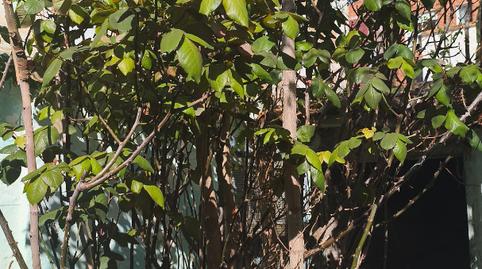 Foto 2 de Casa adosada en venta en Calle del Obispo Paterno, 16, Oliver,  Zaragoza Capital