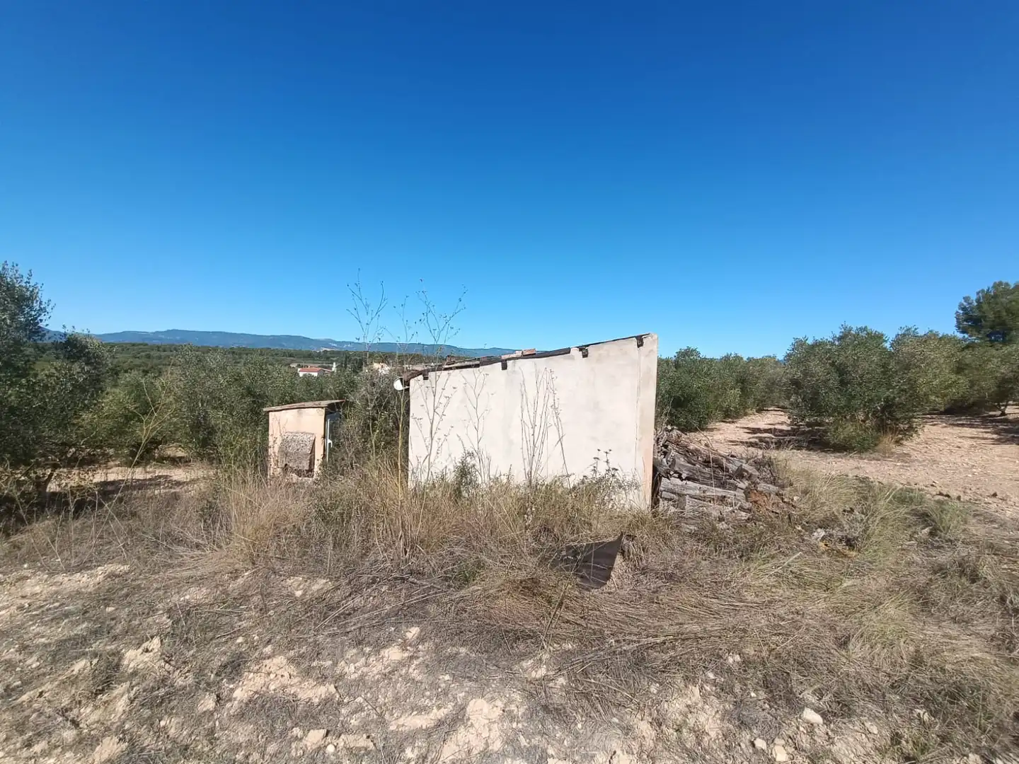 Terreny rústic en venda a La Secuita, imagen 16