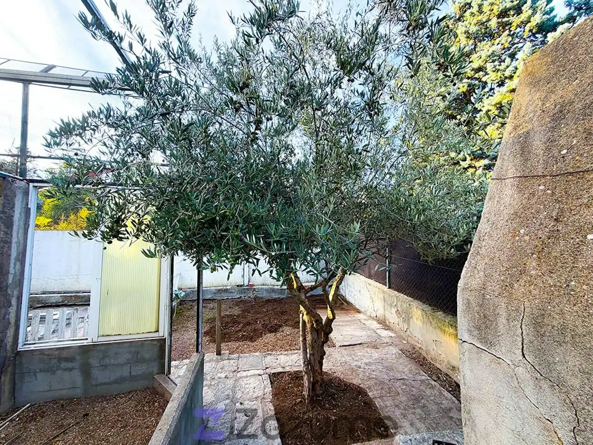 Villa con piscina in affitto a C. de los Tilos I, imagen 42