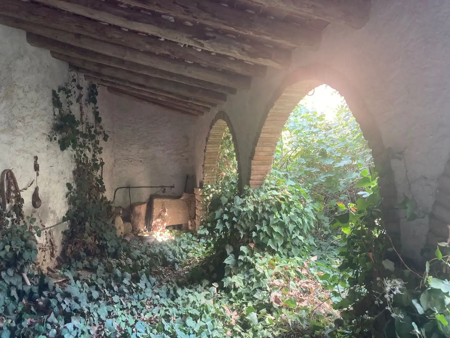 Jardín de Casa o chalet en venta en Bellcaire d'Urgell con Jardín privado