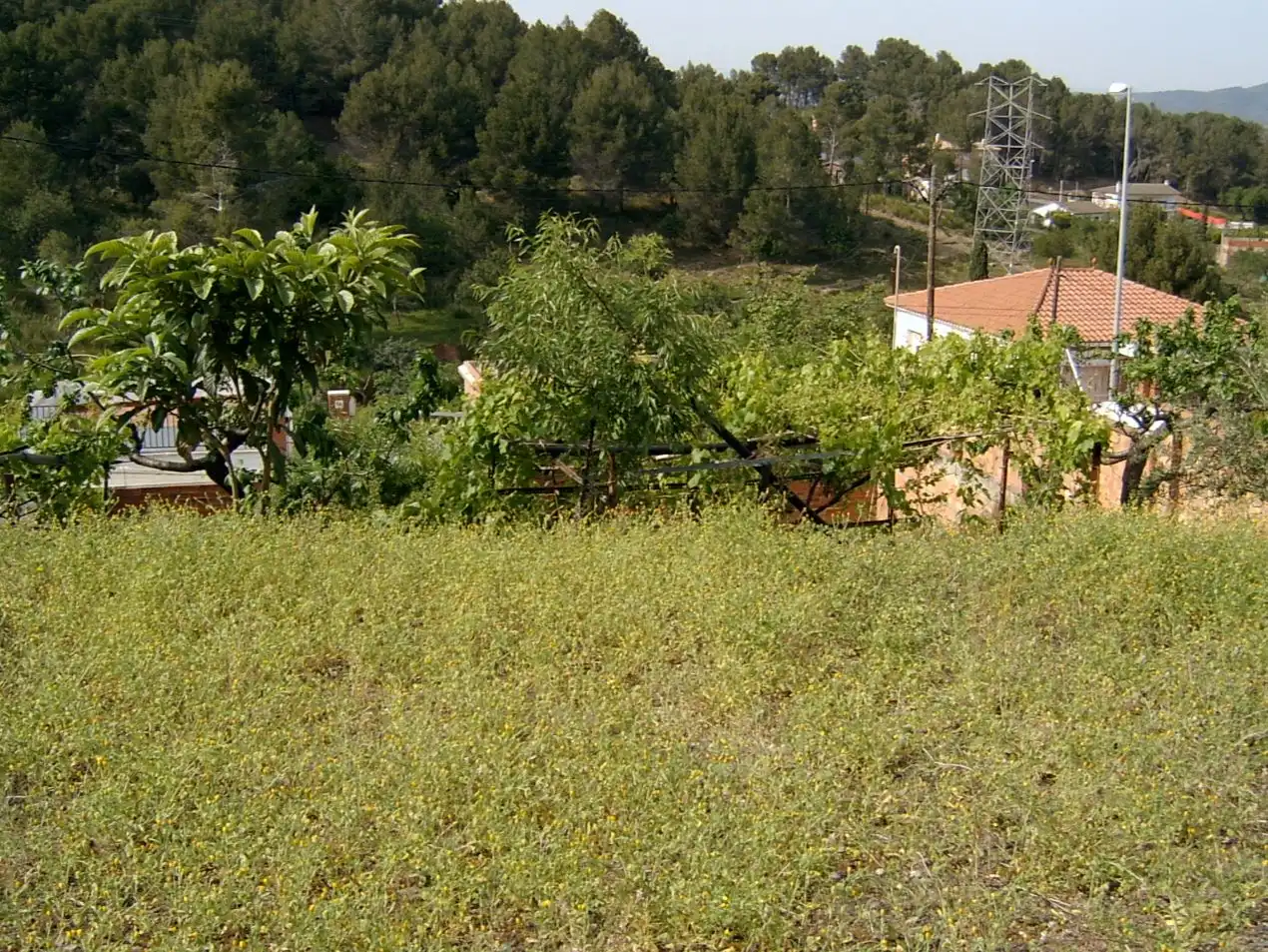Terreny residencial en venda a Carrer de les Acàcies 77, imagen 5