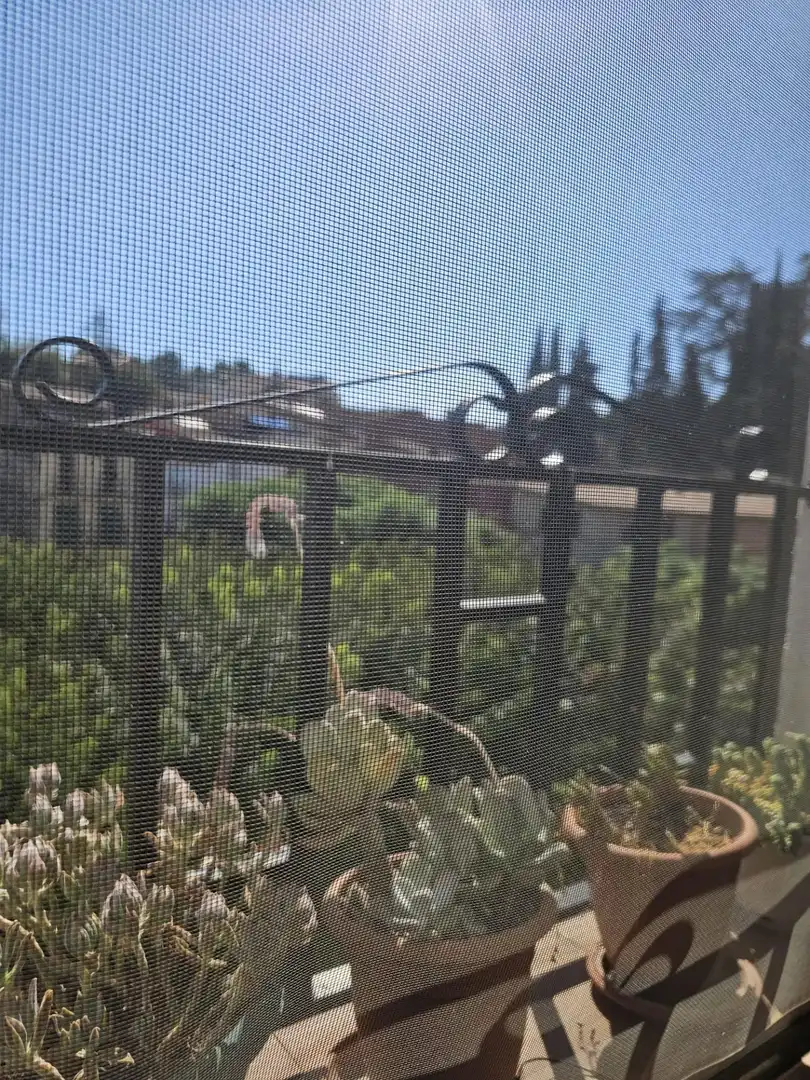 Casa rústica amb terrassa en venda a Carrer Carrer Raval, imagen 26