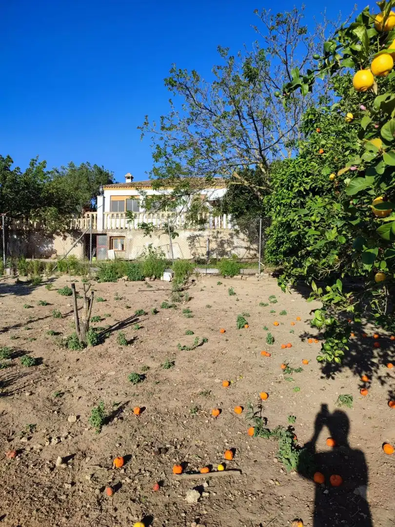Garden of Houses for sale in Arcos de la Frontera  with Air Conditioner, Terrace and Swimming Pool