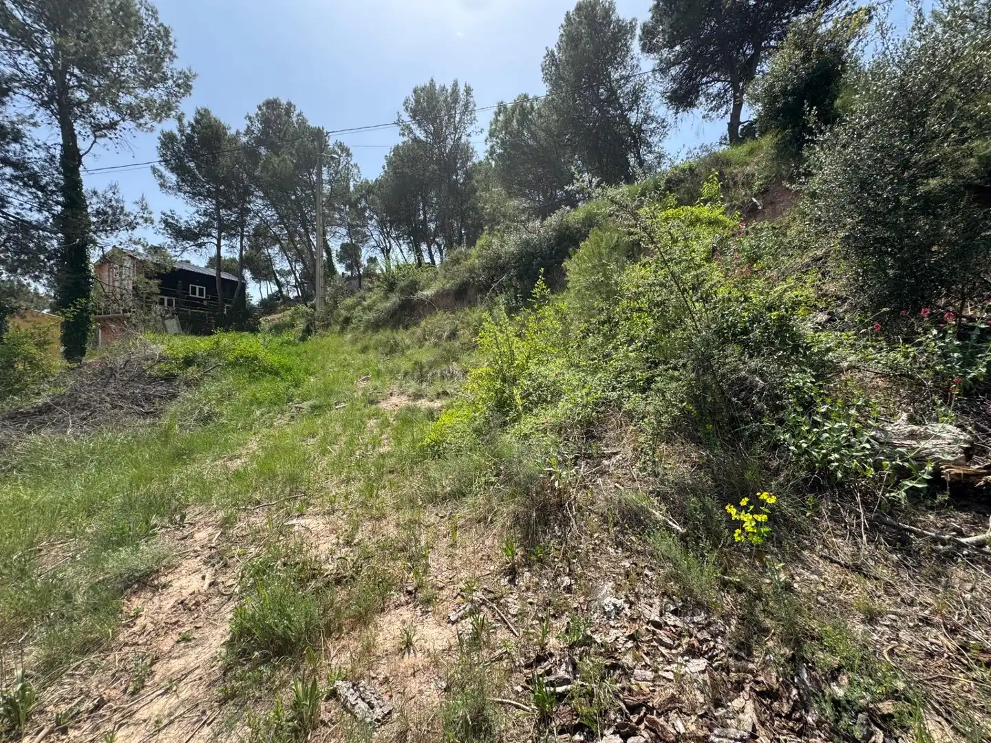 Residential land for sale in La Pobla de Claramunt, imagen 6