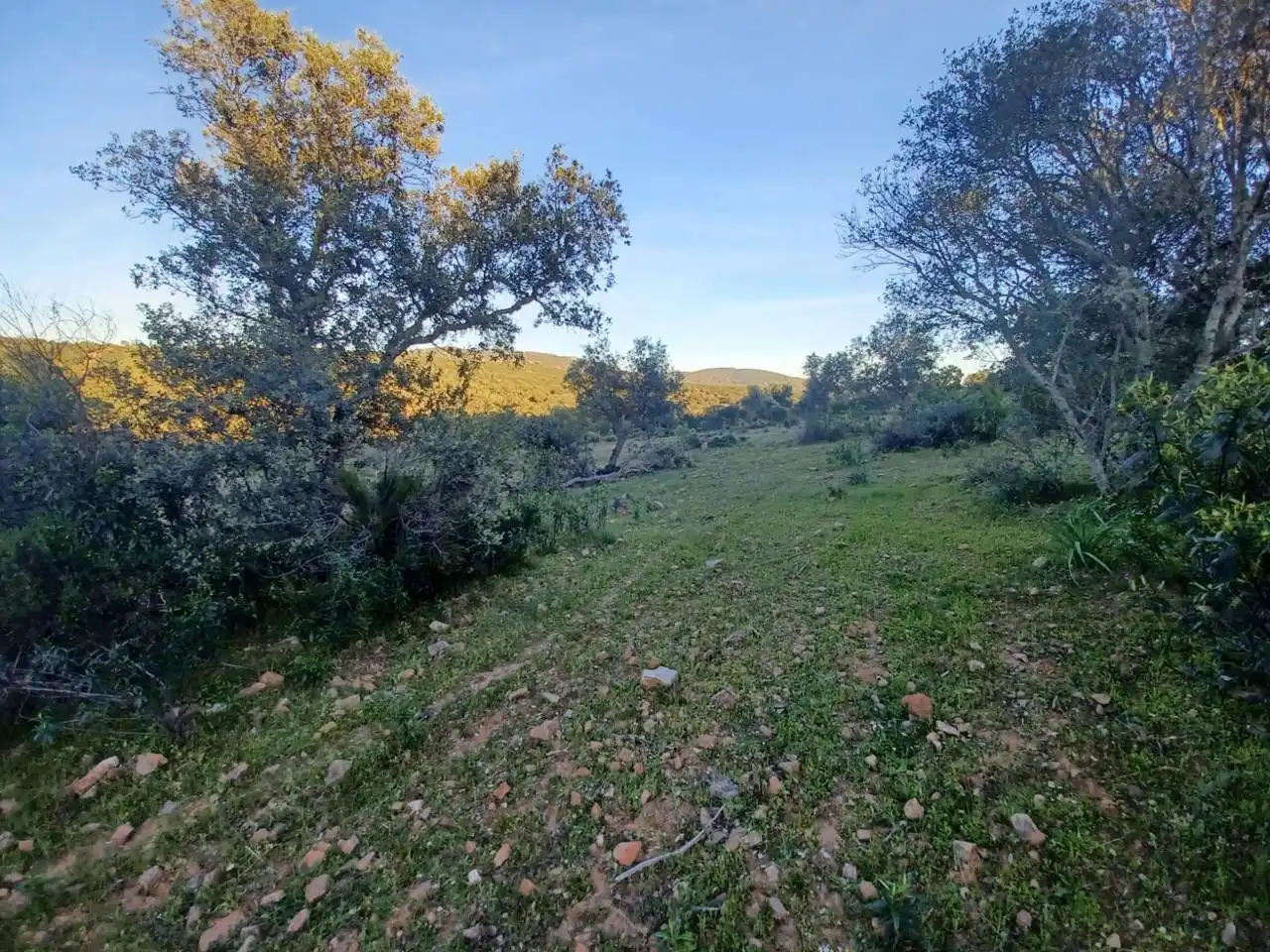 Grundstücke zum Verkauf in Peraleda del Zaucejo