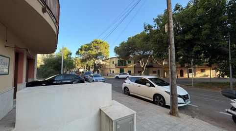 Foto 3 von Geschaftsraum zur Miete in Avenida Pins, 86d, Porto Cristo, Manacor