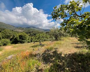 Land for sale in Viandar de la Vera
