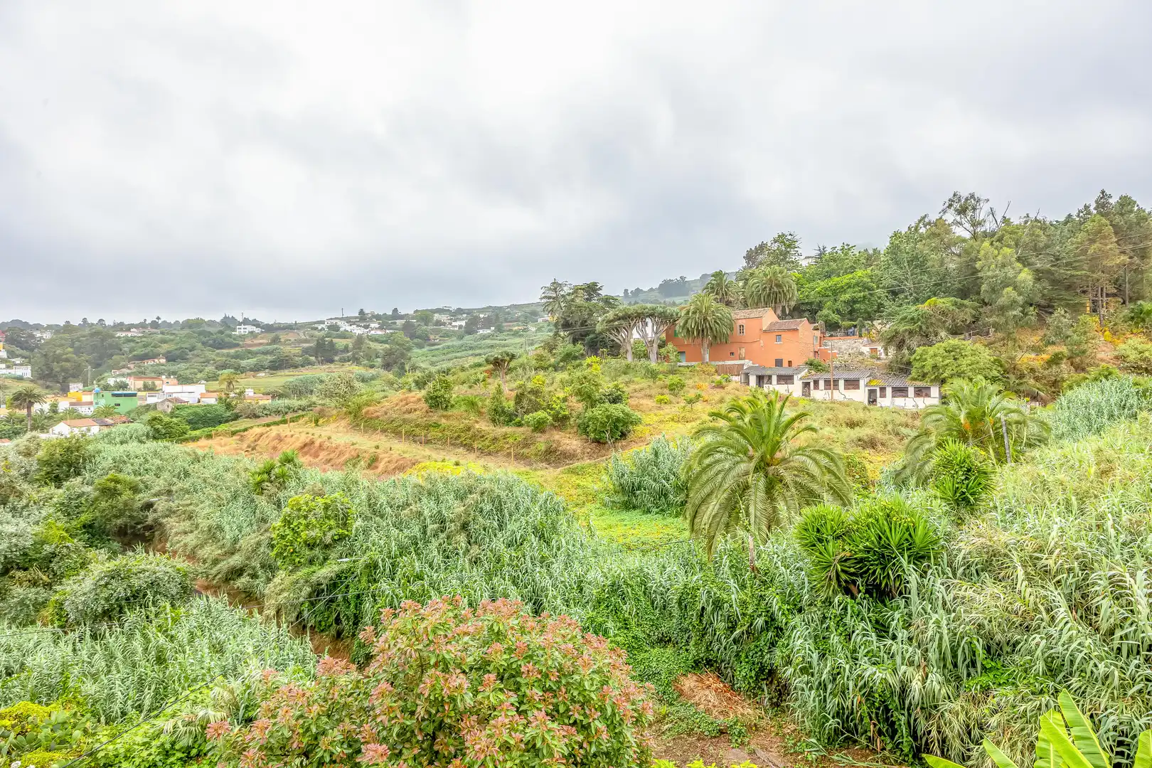 Casa o chalet en venta en Calle Sinesio Yánez Travieso, 41, El Palmar