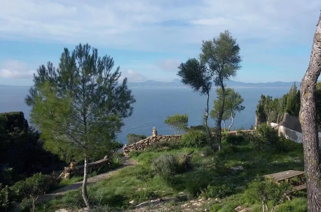 Jardí de Casa o xalet en venda en Llucmajor amb Aire condicionat, Calefacció i Jardí privat