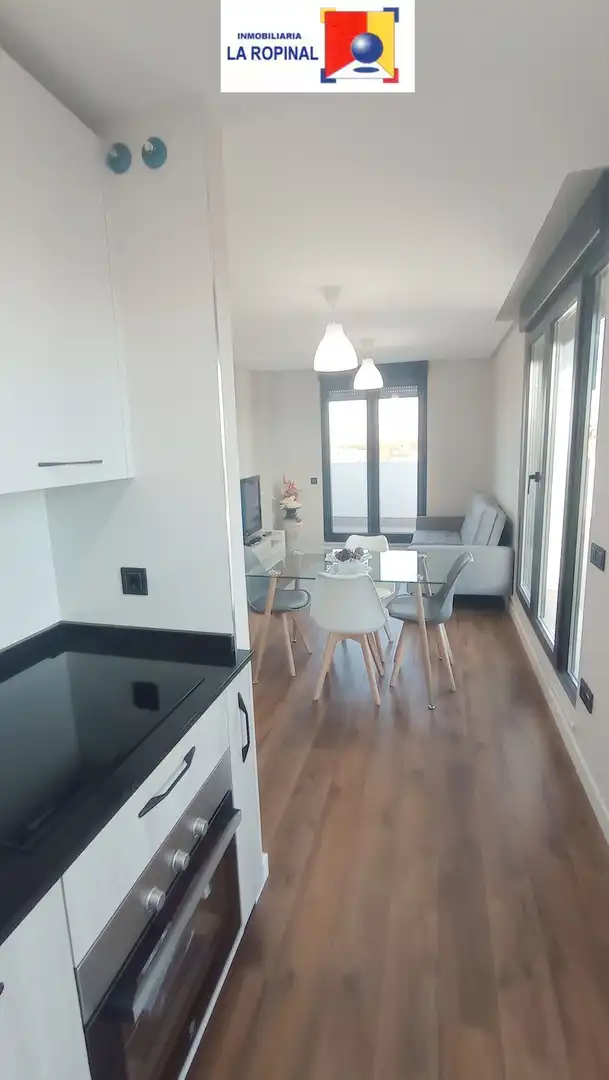Sala d'estar de Àtic de lloguer en Salamanca amb Calefacció, Jardí privat i Terrassa