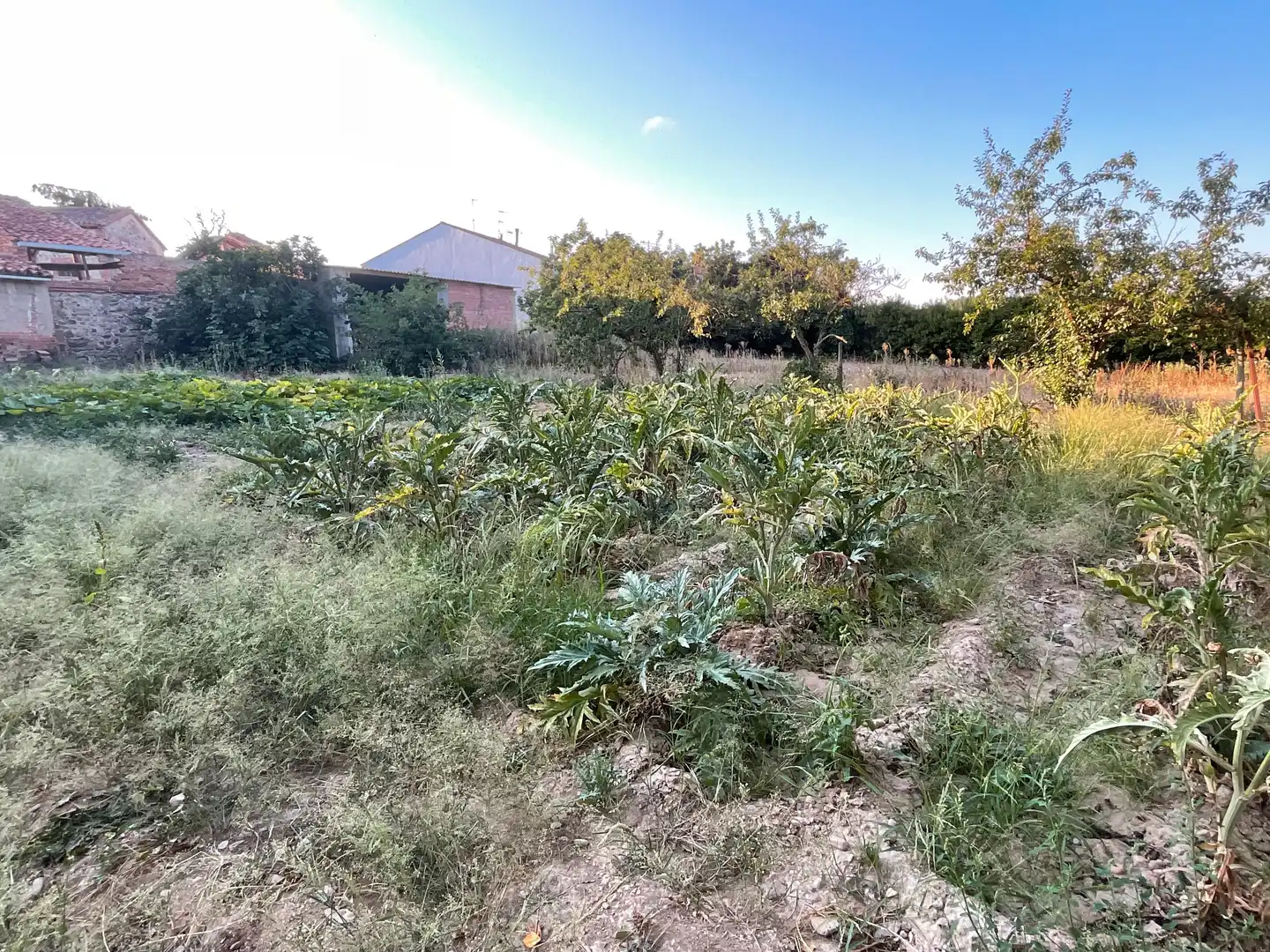 Habitatge amb jardí en venda a Villarta-quintana, imagen 12