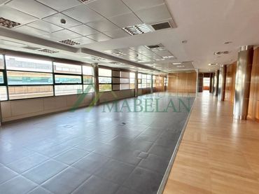 Büro mit Aufzug zur Miete in El Pinar - Punta Galea