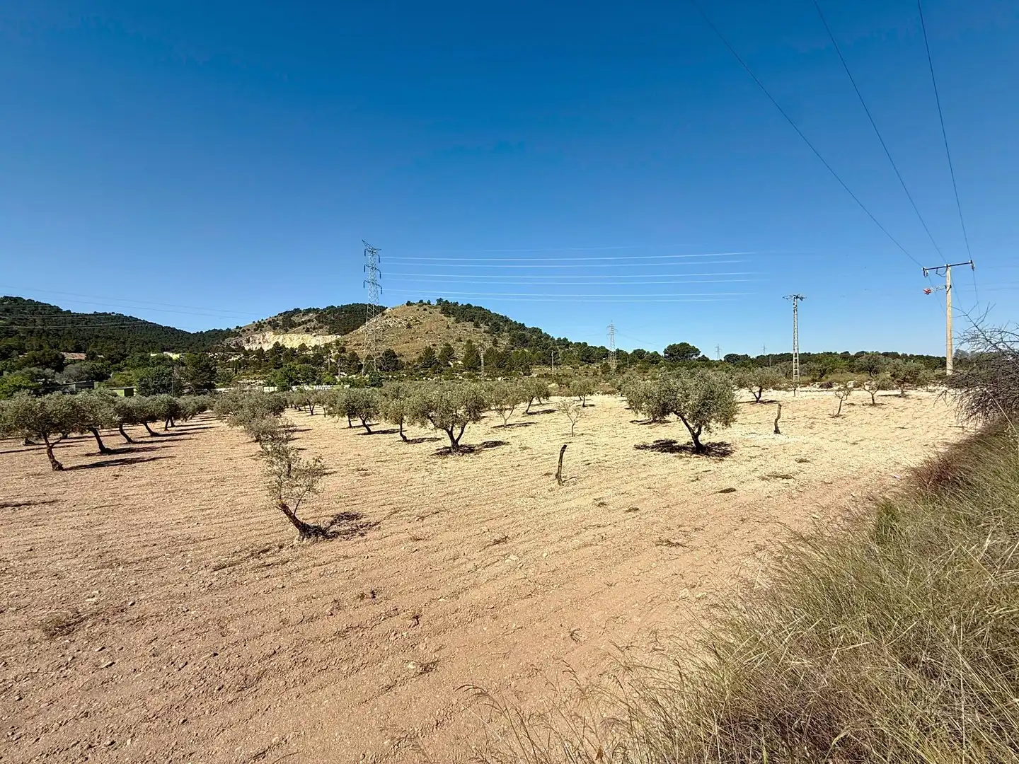 Terreno en venta en Biar