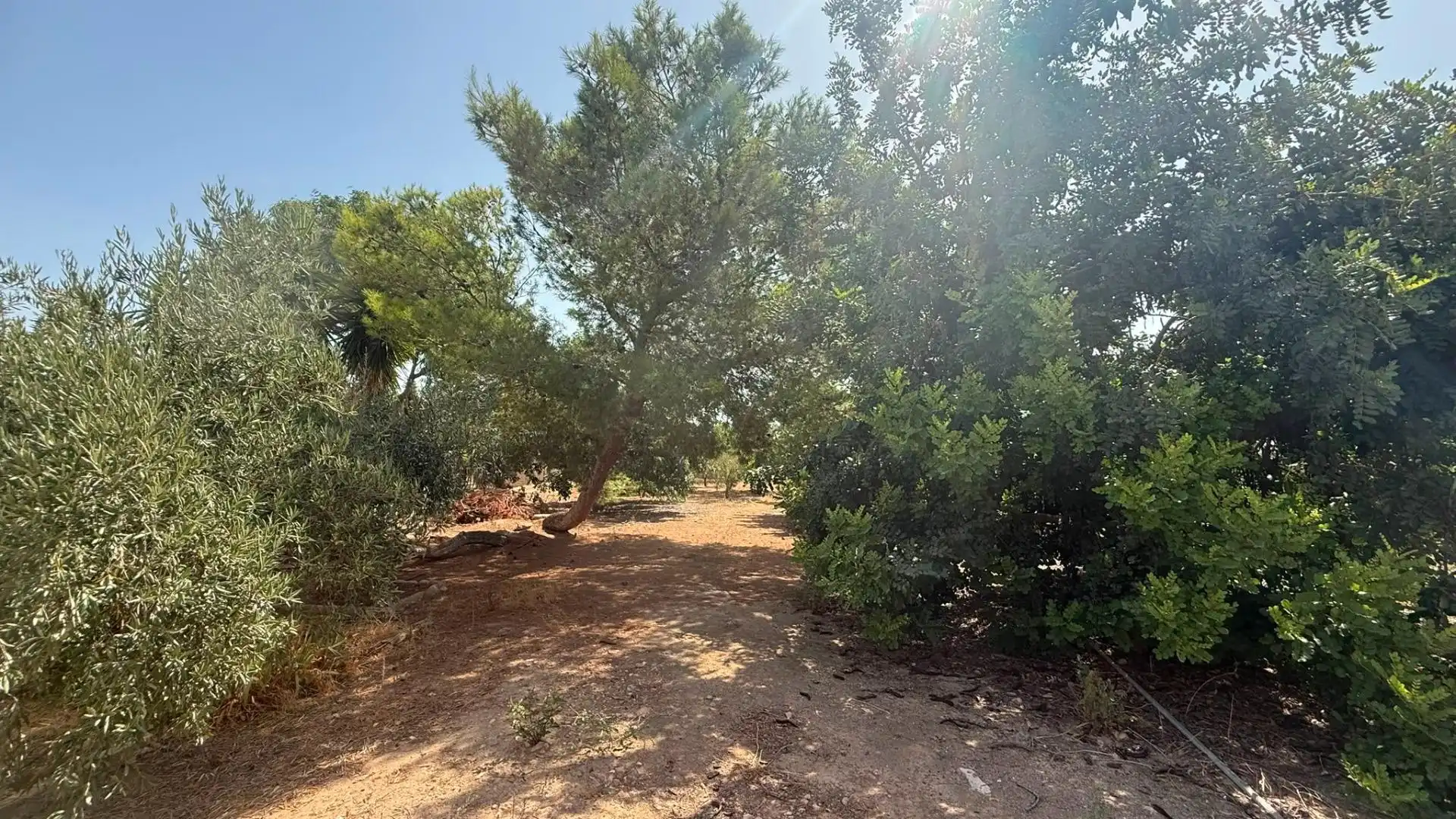 Country homes for sale in Murcia