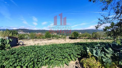 Foto 3 de Finca rústica en venda a San Cibrao das Viñas, Ourense