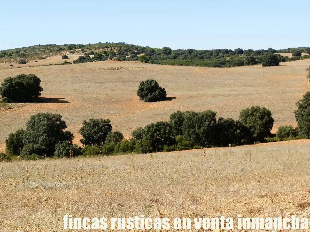 Terreno en venta en Albacete
