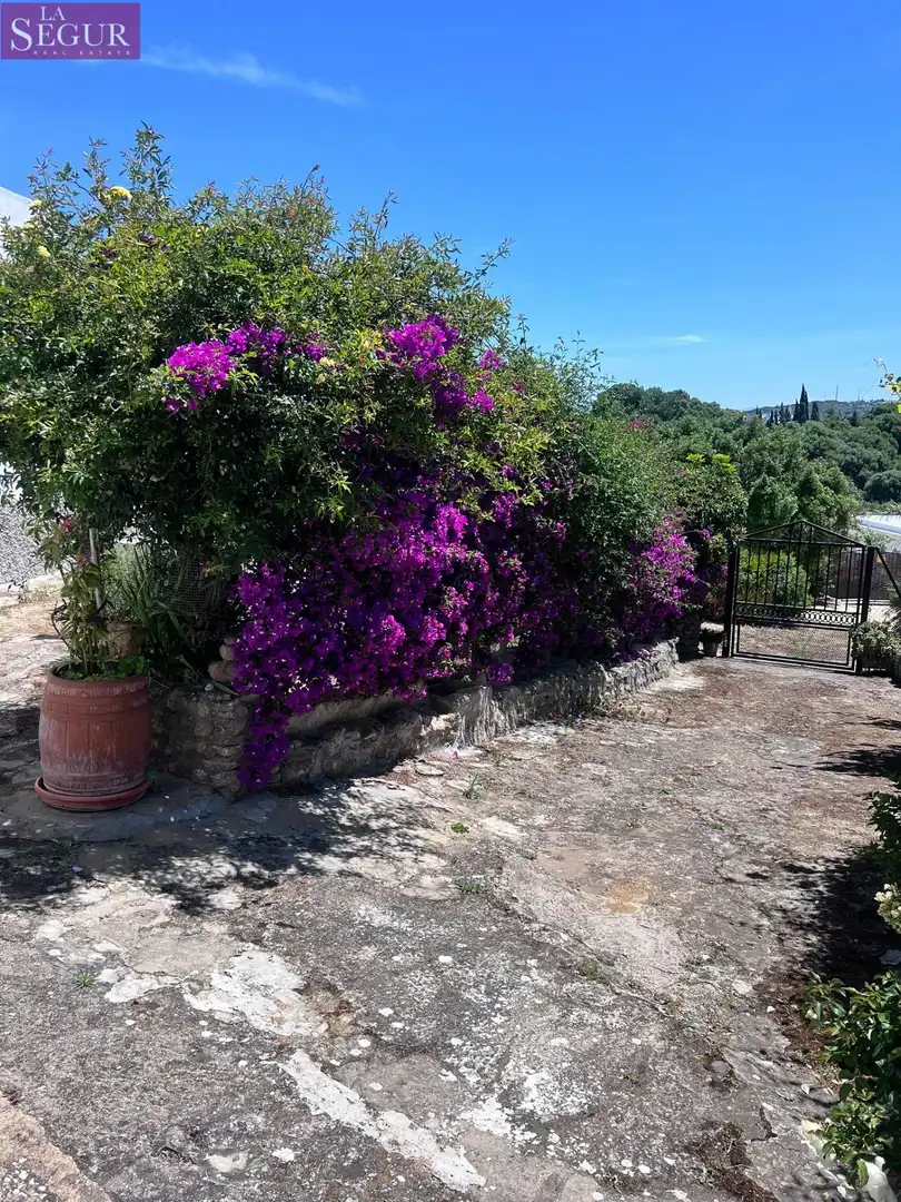 Jardí de Casa o xalet en venda en Vejer de la Frontera amb Jardí privat