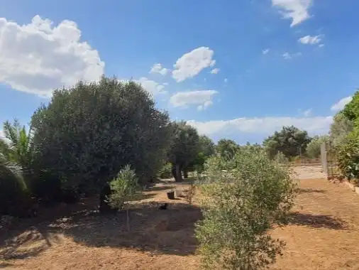 Villa con giardino in vendita a Carrer Nou 10, imagen 7