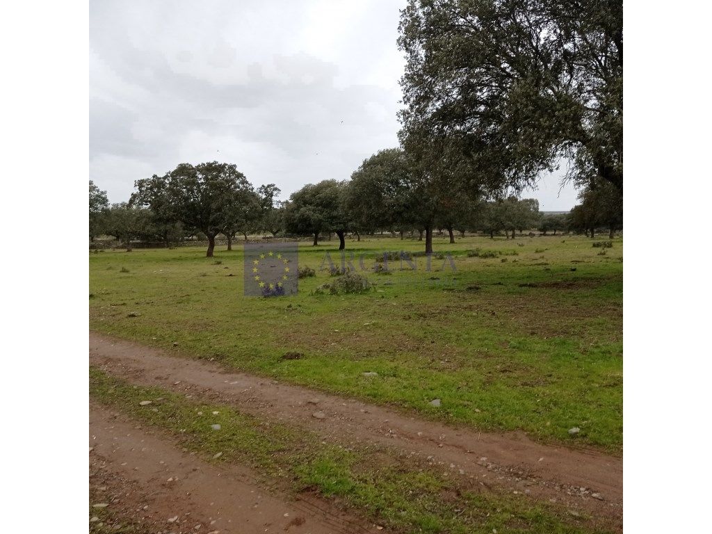 House or chalet for sale in Aldeacentenera