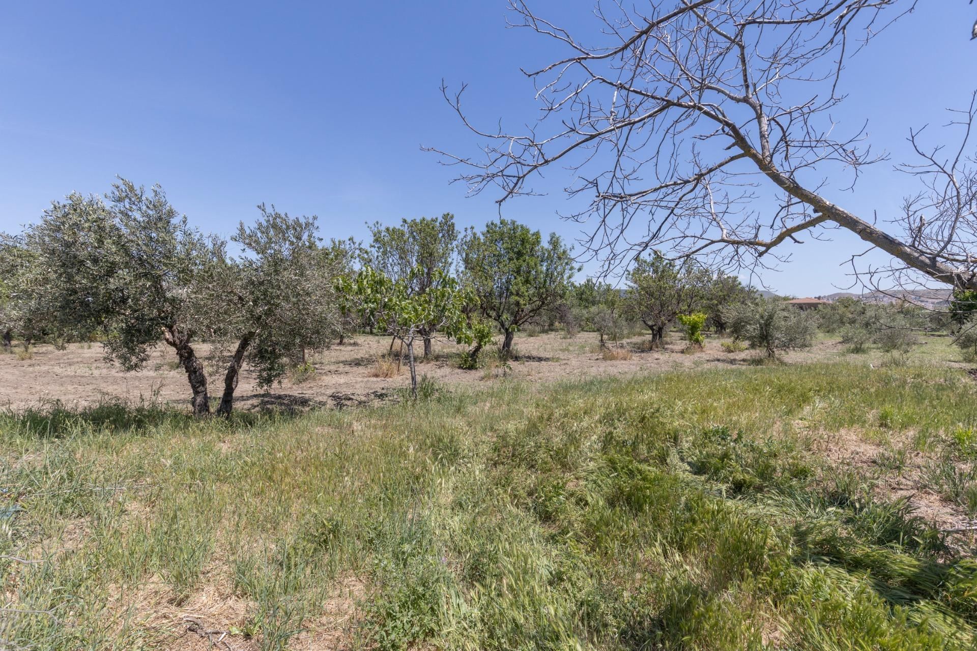 Land for sale in  Granada Capital