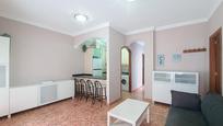 Sala d'estar de Apartament en venda en Las Palmas de Gran Canaria