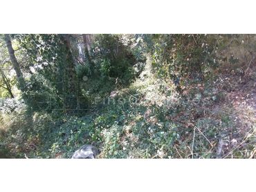Terreno residenziale in vendita a Vacarisses