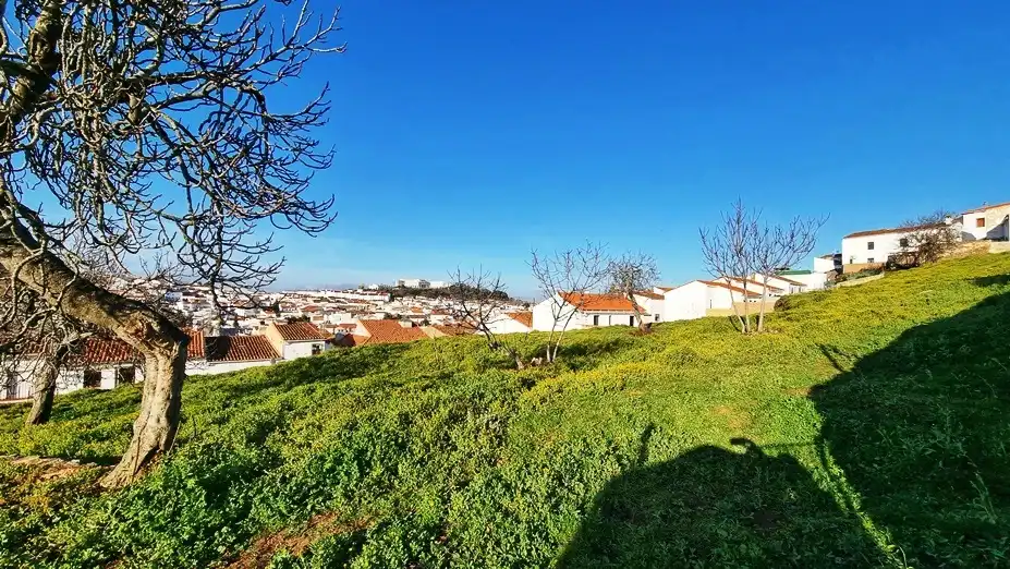 Terreni e lotti in vendita a Calle Cruces 29, imagen 3