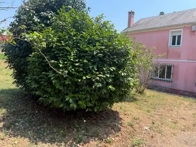Country house zum Verkauf in Trabada mit Heizung, Privatgarten und Terrasse