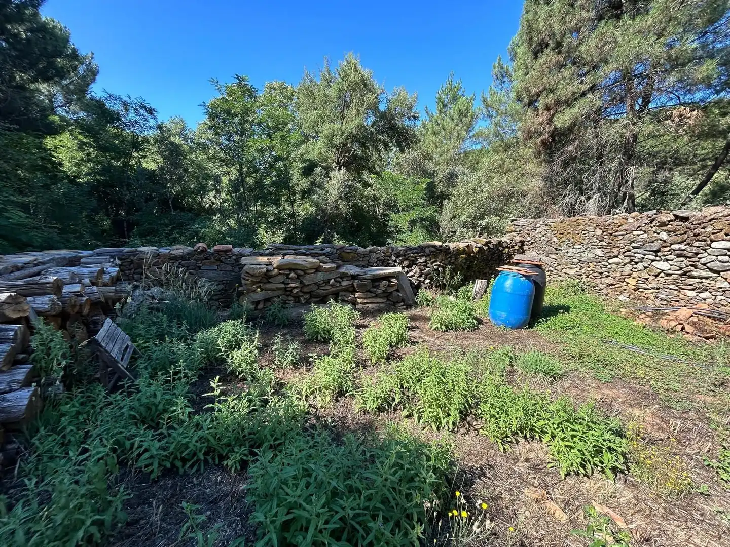 Terreni e lotti in vendita a Villasbuenas de Gata, imagen 2