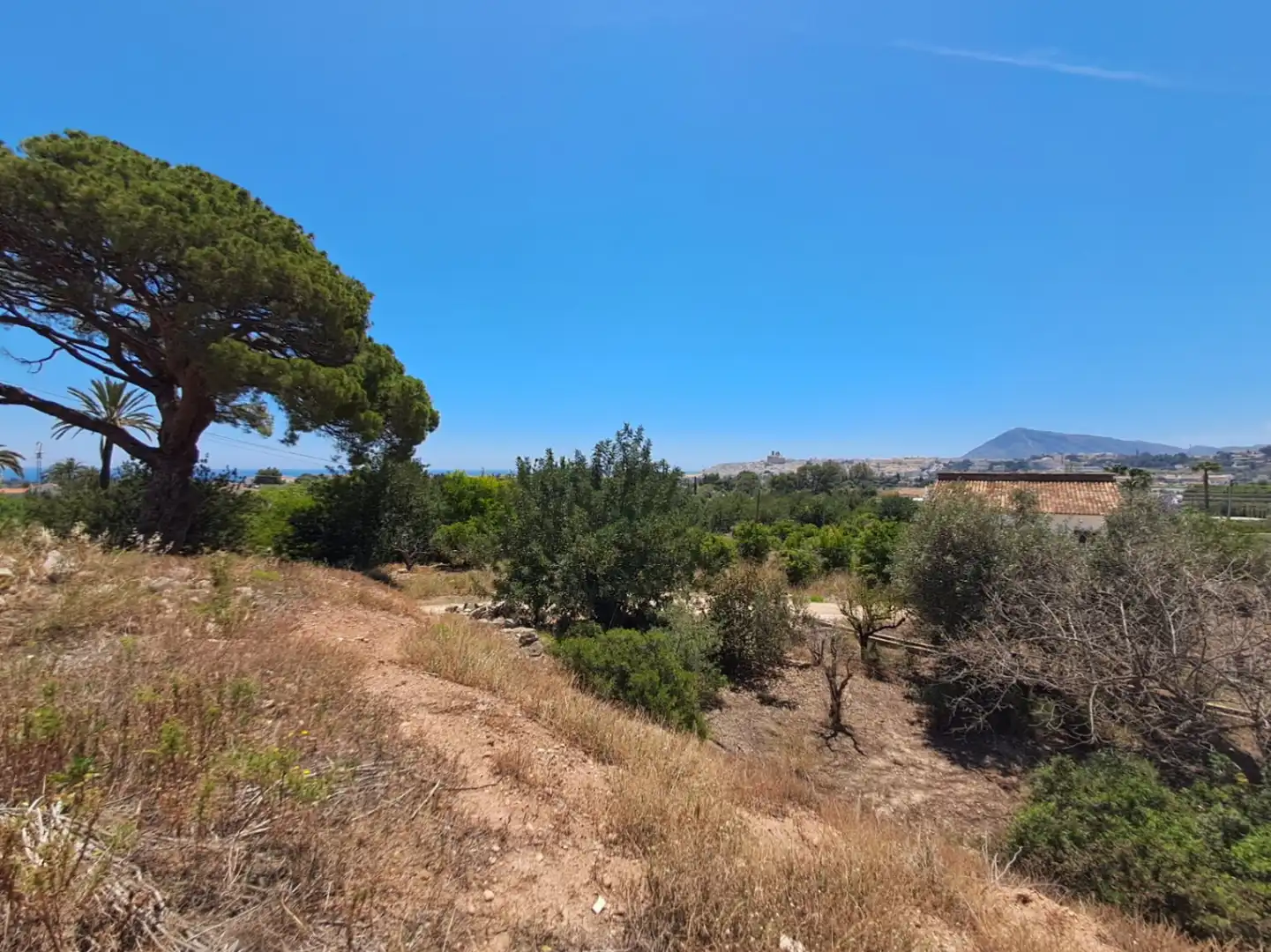 Terreny residencial en venda a Altea ciudad