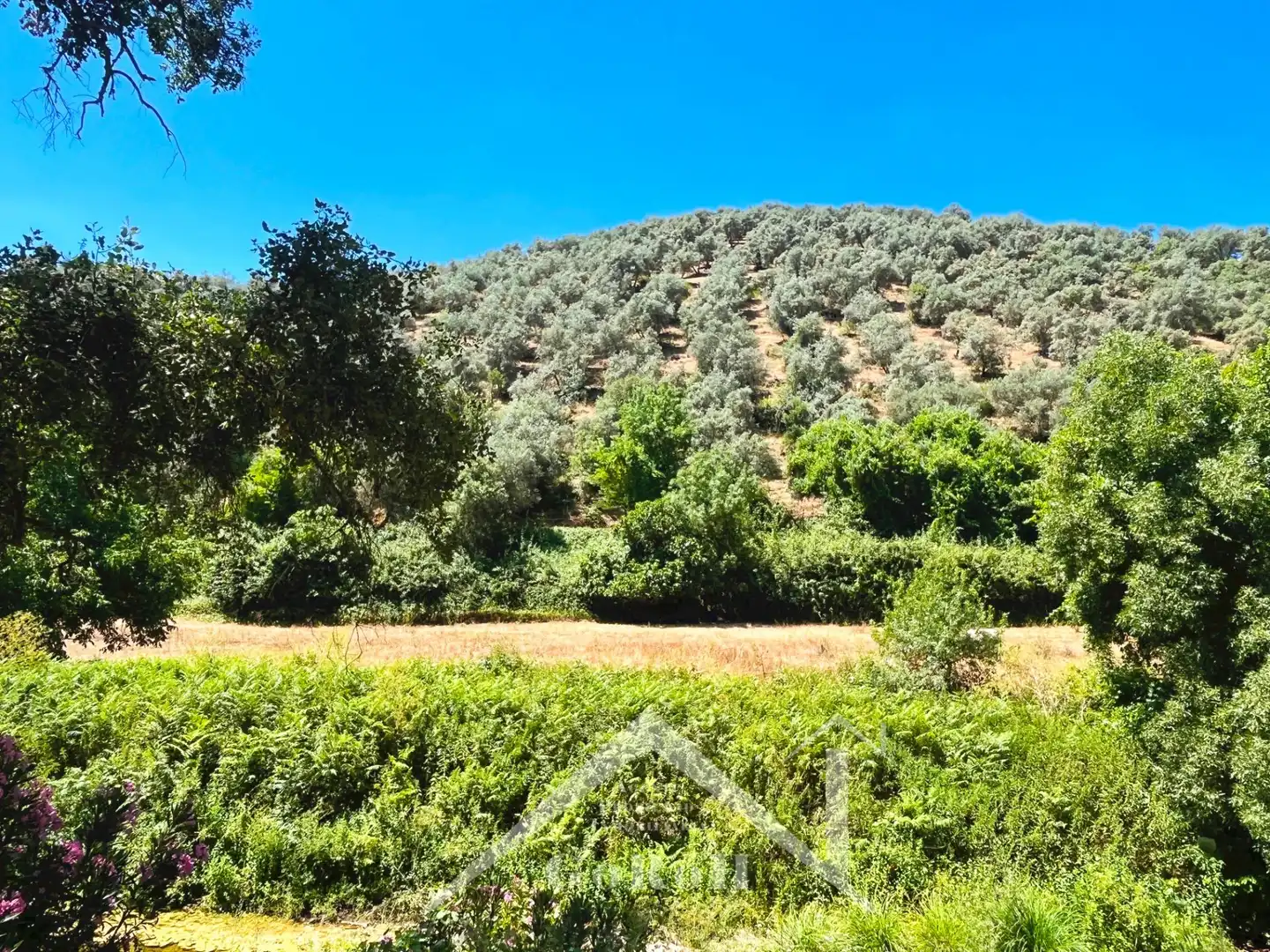 Grundstücke zum Verkauf in Constantina