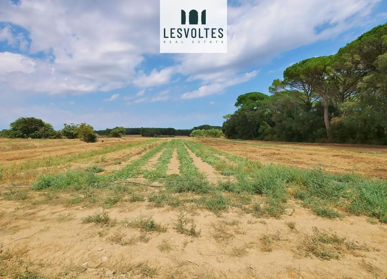 Residencial en venta en Palafrugell