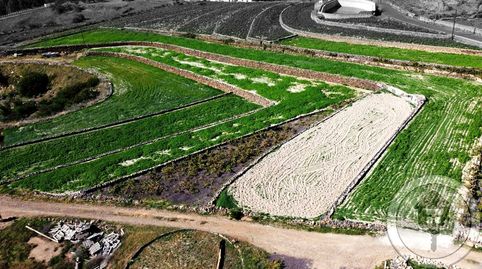 Foto 5 de Finca rústica en venta en Camino Los Cortados, Vilaflor de Chasna, Santa Cruz de Tenerife