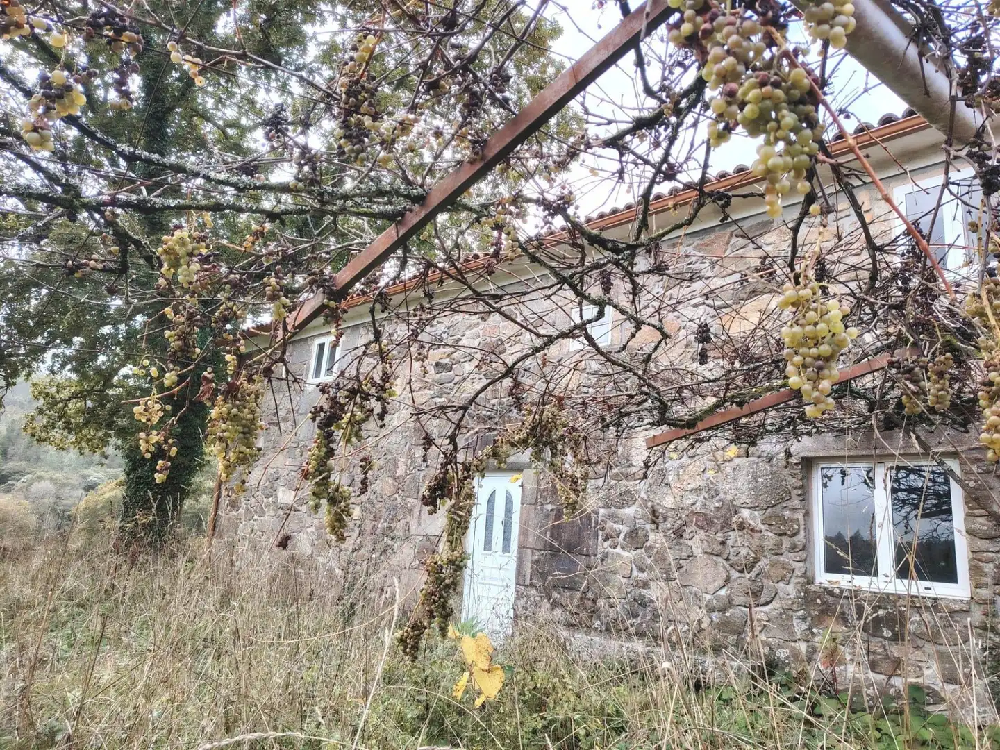 Country homes for sale in Negreira