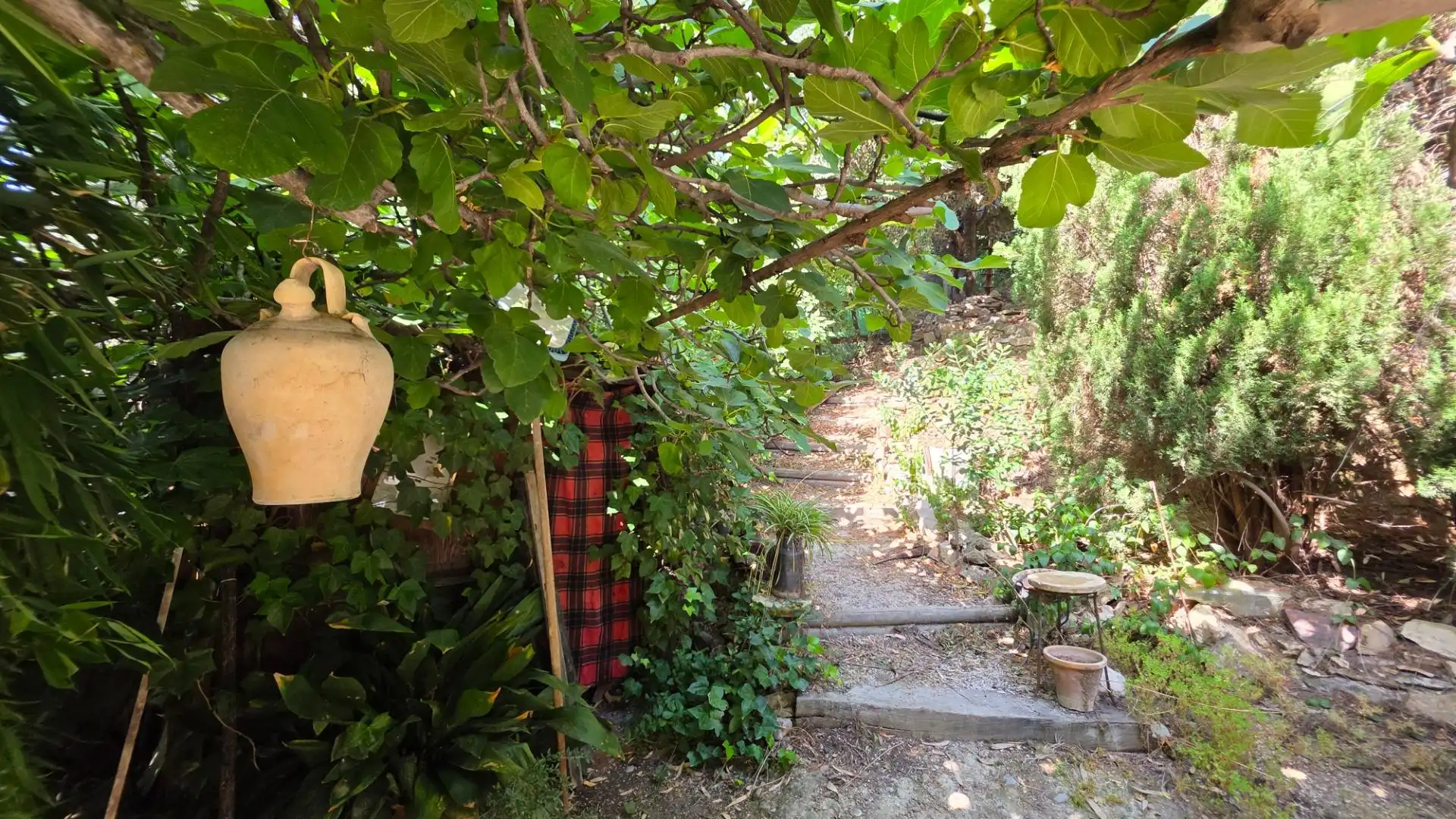Jardí de Finca rústica en venda en Jaén amb Calefacció, Jardí privat i Terrassa