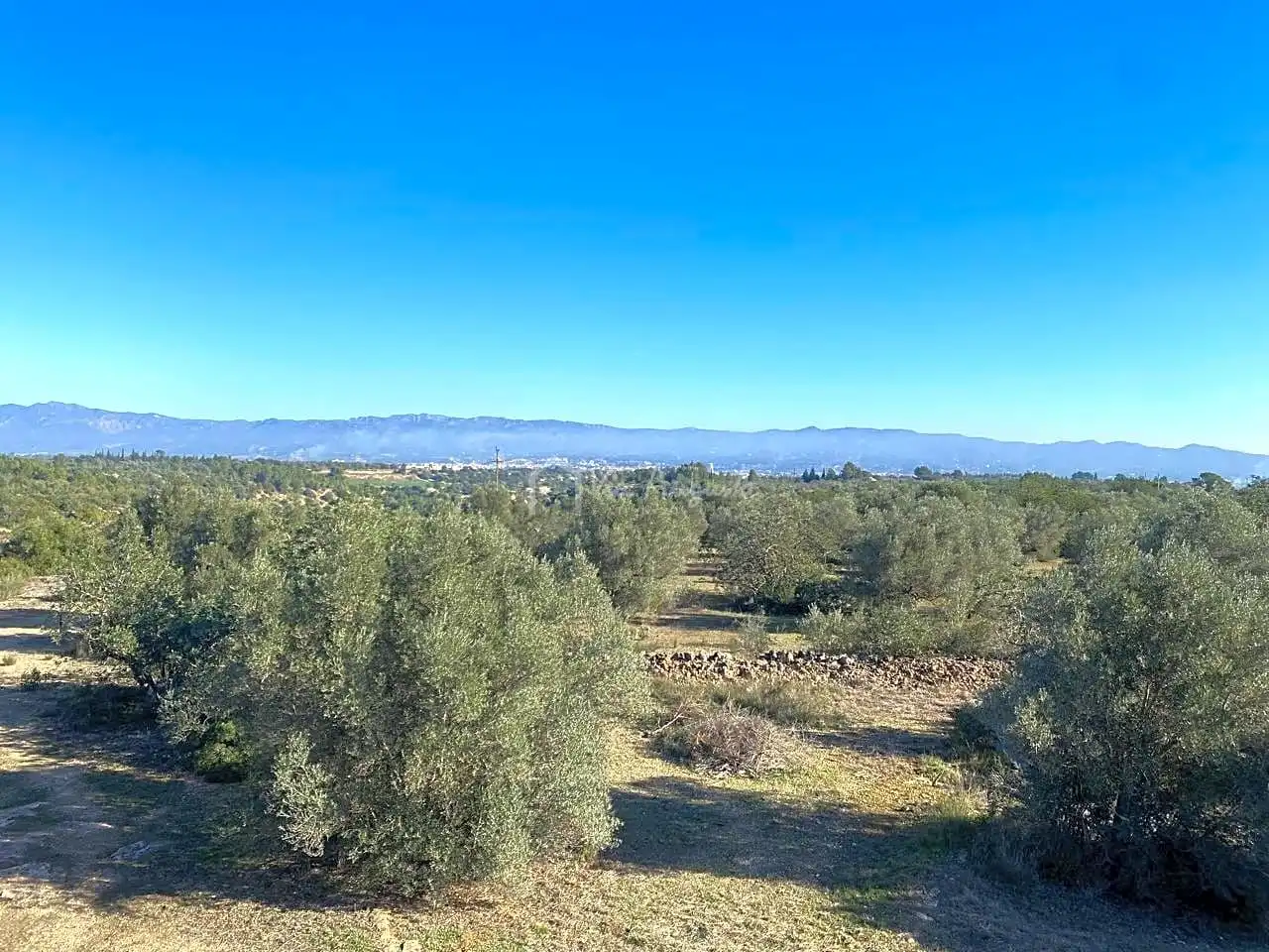 Terreno rustico in vendita a Pas de Berenguer, imagen 4