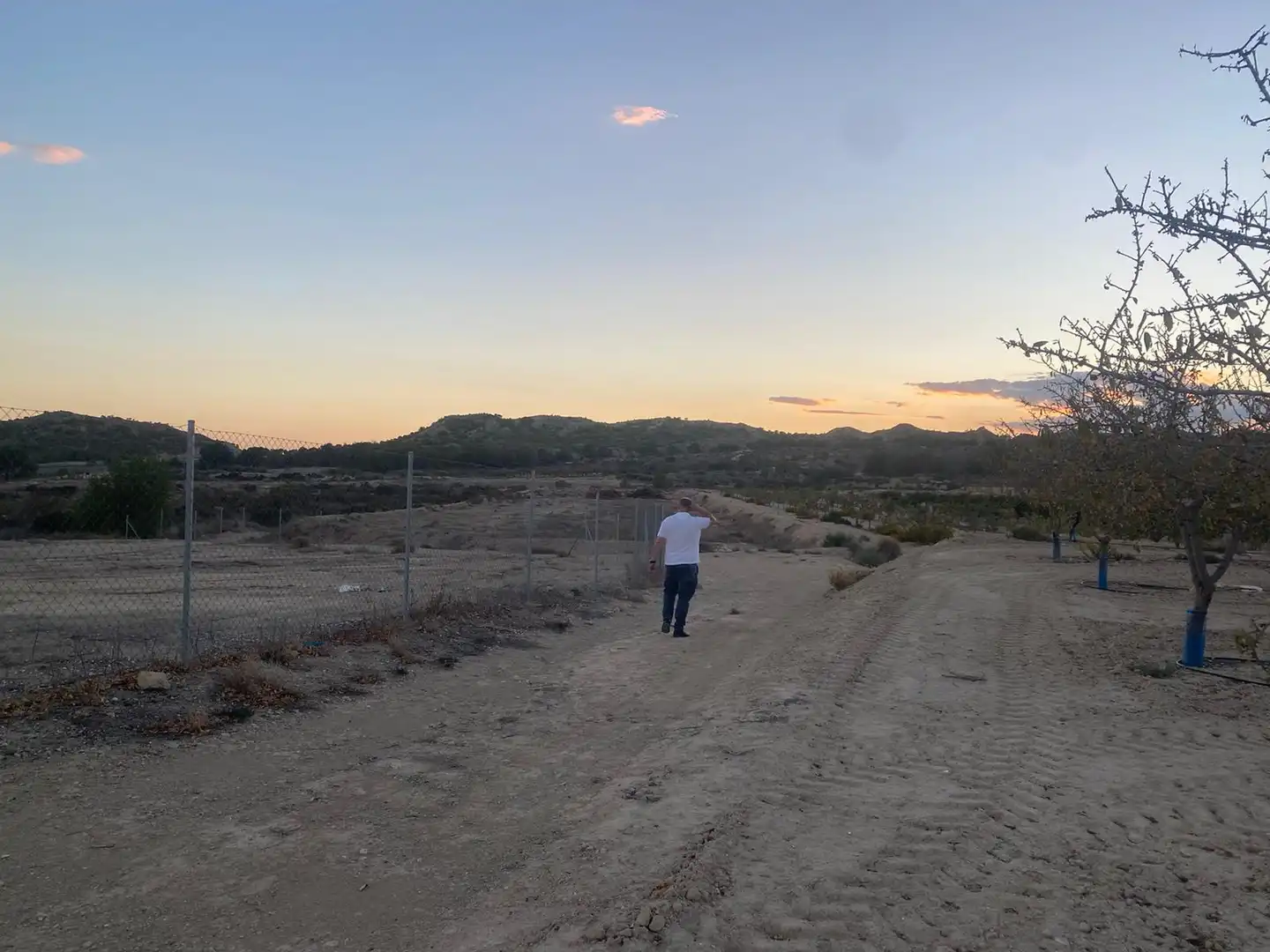 Land for sale in Camí de l'Alcoraia, 21, Cañada del Fenollar