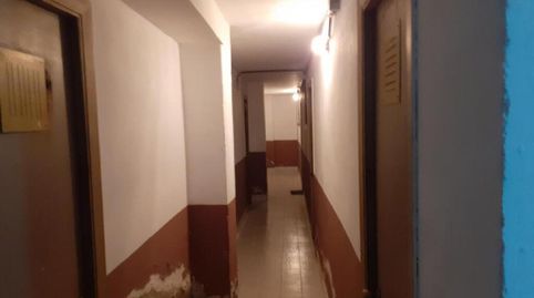 POLA DE LENA, imatge 5
