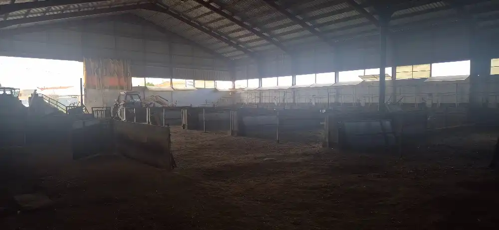 Industrial buildings for sale in Minaya