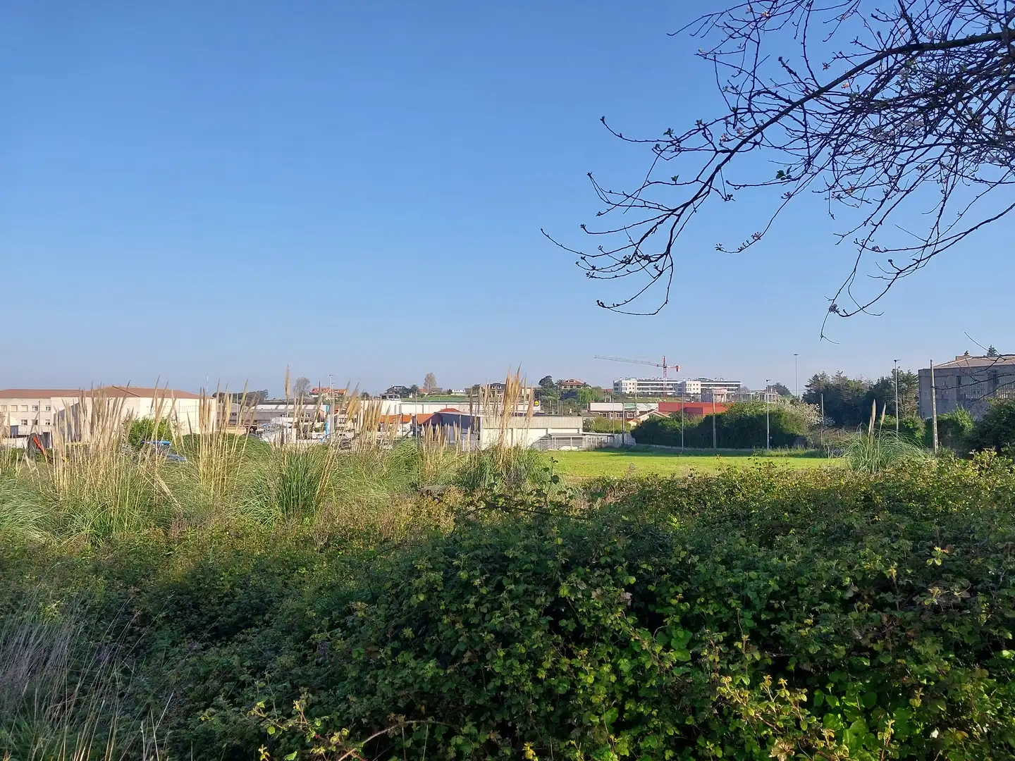 Terreni e lotti in vendita a ALBERICIA, imagen 11