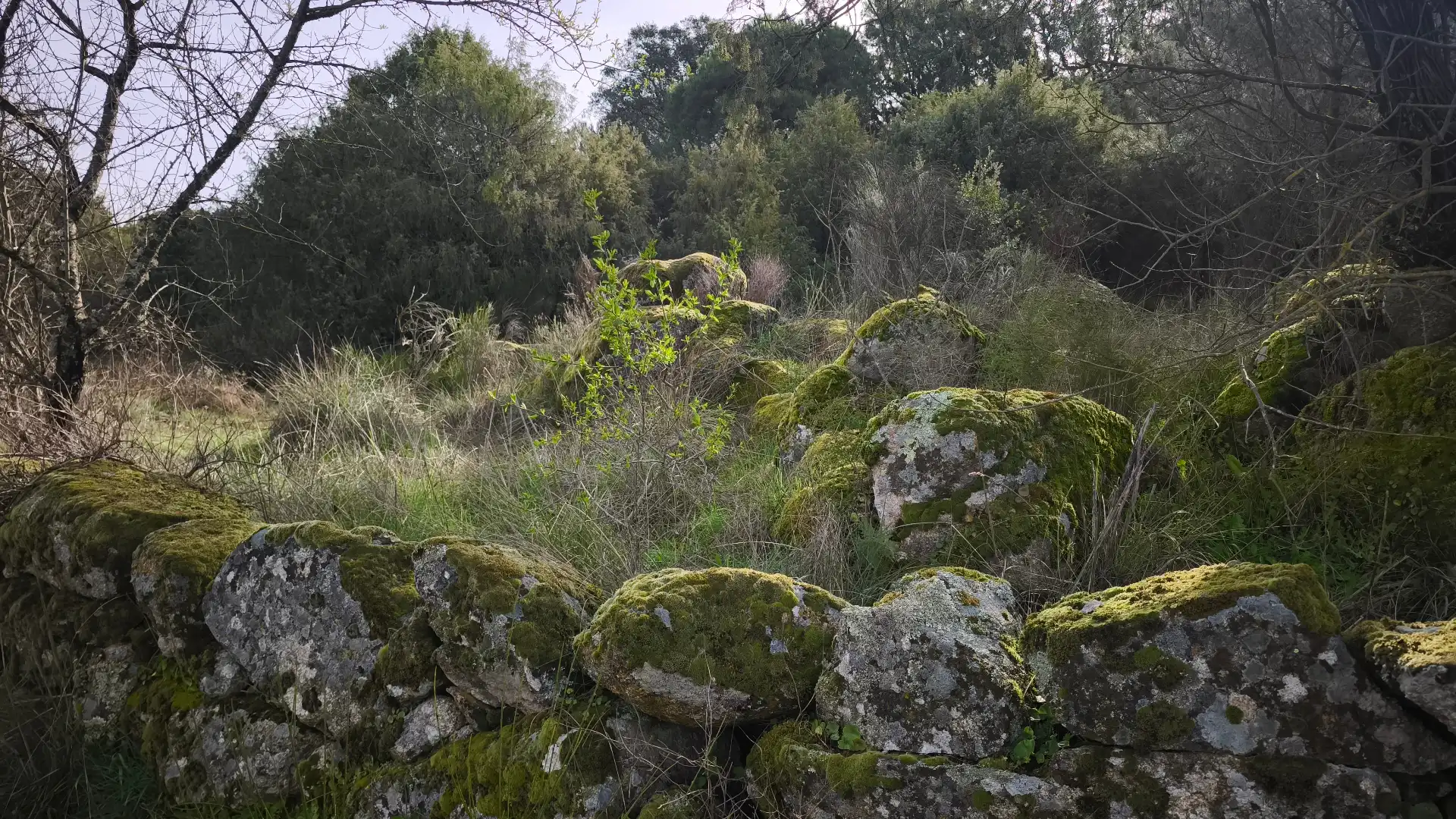 Terreni e lotti in vendita a Santa María del Tiétar, imagen 9